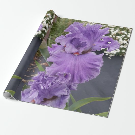Paarse Iris bruinbloemen Lavender Lila Beared Cadeaupapier (Uitgerold)