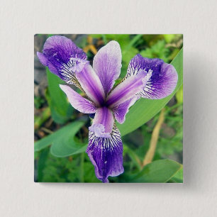 Paarse Iris Button