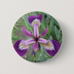 Paarse Iris Button