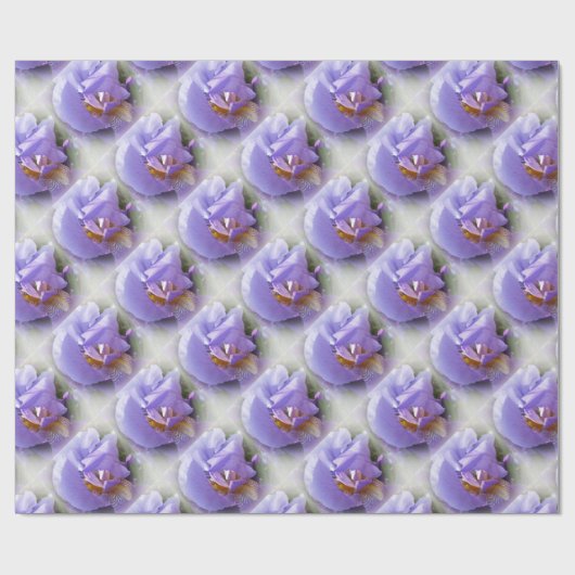 paarse iris cadeaupapier (Vlak)