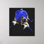 Paarse Iris Canvas Afdruk (Voorkant)