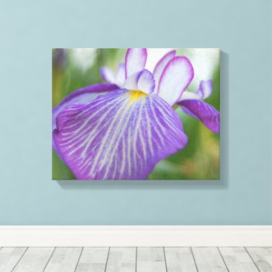 Paarse Iris Canvas Afdruk (Insitu (Houten vloer))