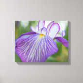 Paarse Iris Canvas Afdruk (Voorkant)