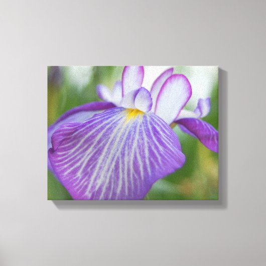 Paarse Iris Canvas Afdruk (Voorkant)