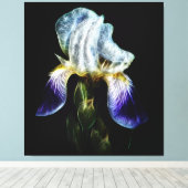 Paarse Iris Canvas Afdruk (Insitu (Houten vloer))