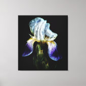 Paarse Iris Canvas Afdruk (Voorkant)