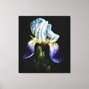 Paarse Iris Canvas Afdruk