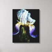 Paarse Iris Canvas Afdruk (Voorkant)