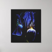 Paarse Iris Canvas Afdruk (Voorkant)