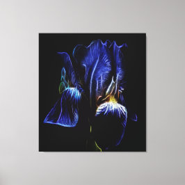 Paarse Iris Canvas Afdruk