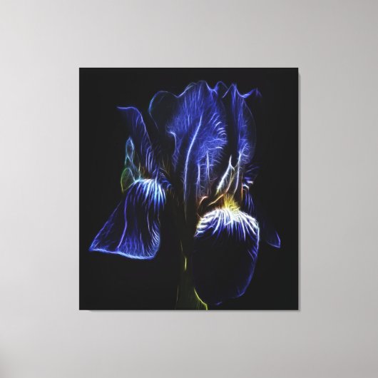 Paarse Iris Canvas Afdruk (Voorkant)