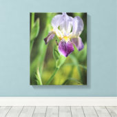 Paarse Iris Canvas Afdruk (Insitu (Houten vloer))