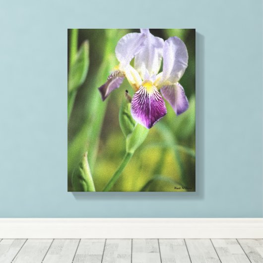 Paarse Iris Canvas Afdruk (Insitu (Houten vloer))
