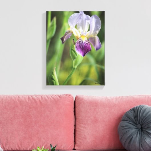 Paarse Iris Canvas Afdruk (Insitu (Woonkamer))
