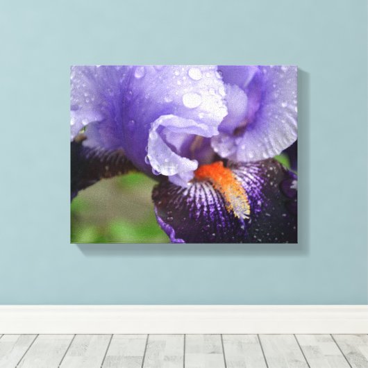 Paarse Iris Canvas afdrukken (Insitu (Houten vloer))