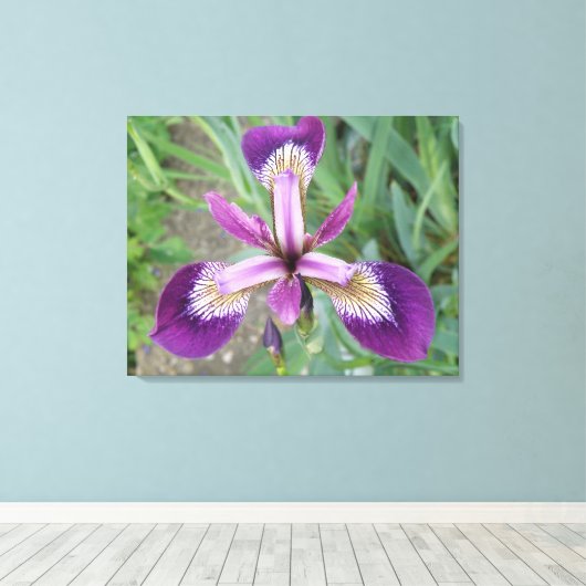 Paarse Iris Canvas afdrukken (Insitu (Houten vloer))