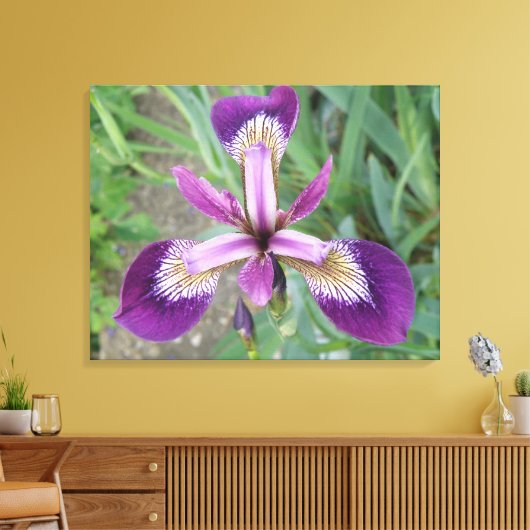 Paarse Iris Canvas afdrukken (Insitu (Woonkamer))