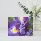 paarse iris dichtbij briefkaart (Staand voorkant)