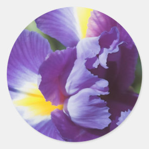 paarse iris dichtbij ronde sticker