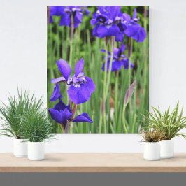 Paarse Iris Floral Botanische fotografie Canvas Afdruk