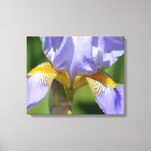 Paarse Iris Floralfotografie Canvas Afdruk (Voorkant)