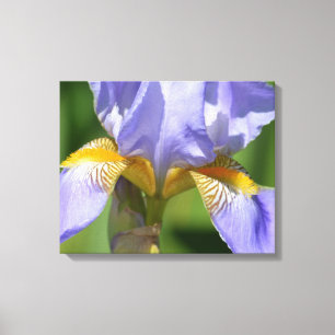 Paarse Iris Floralfotografie Canvas Afdruk