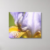 Paarse Iris Flower-fotografie Canvas Afdruk (Voorkant)