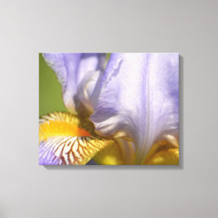 Paarse Iris Flower-fotografie Canvas Afdruk