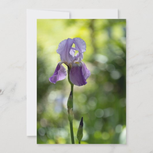 Paarse Iris Flower Green Spring Wedding Kaart (Achterkant)