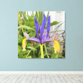 Paarse Iris Flower Outdoor Garden Natuur Foto Canvas Afdruk (Insitu (Houten vloer))