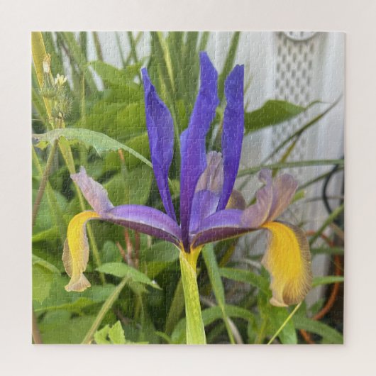 Paarse Iris Flower Outdoor Garden Natuur Foto Legpuzzel (Verticaal)