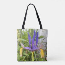 Paarse Iris Flower Outdoor Garden Natuur Foto