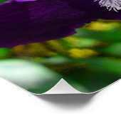 Paarse Iris Flower Perfect Poster (Hoek)