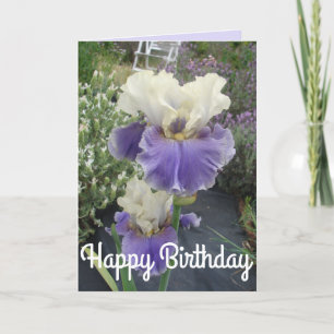 Paarse Iris Flower Photo Birthday Card Kaart