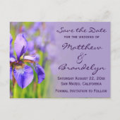 Paarse Iris Flower Save the Date Briefkaarten (Voorkant)