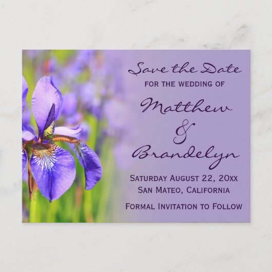 Paarse Iris Flower Save the Date Briefkaarten (Voorkant)