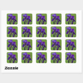 Paarse Iris Flower Stickers (Vel)