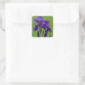 Paarse Iris Flower Stickers (Tas)
