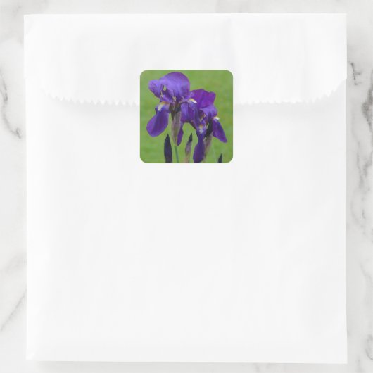 Paarse Iris Flower Stickers (Tas)