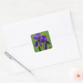 Paarse Iris Flower Stickers (Envelop)
