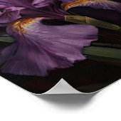 Paarse Iris Flowers Art Print Poster (Hoek)