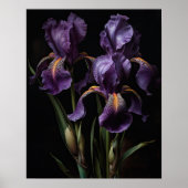 Paarse Iris Flowers Art Print Poster (Voorkant)