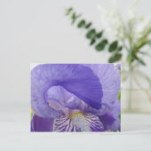 Paarse Iris Flowers briefkaarten Irises natuur Flo (Staand voorkant)