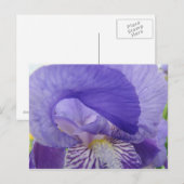 Paarse Iris Flowers briefkaarten Irises natuur Flo (Voorkant / Achterkant)