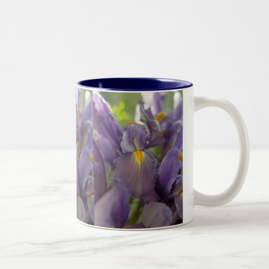 Paarse Iris Flowers Foto van Coffee Mugs Tweekleurige Koffiemok (Rechts)