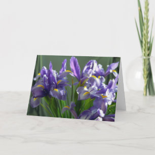 Paarse Iris Flowers Foto Wenskaart Kaart