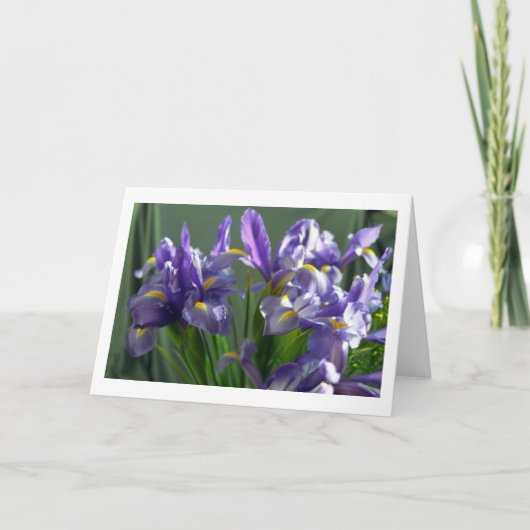 Paarse Iris Flowers Foto Wenskaart Kaart (Voorkant)