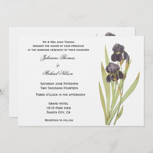 Paarse Iris Flowers Kaart (Voorkant / Achterkant)