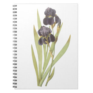 Paarse Iris Flowers Notitieboek