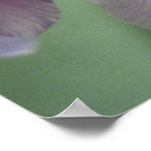Paarse Iris Flowers Poster Art Print (Hoek)